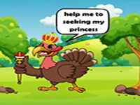 Prince Turkey Seeking Princess