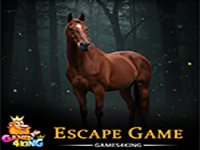 Brown Colt Rescue - Play Free Online Escape Game