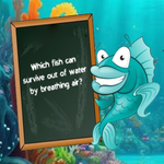 Escape The Shark Cage - Play Free Online Escape Game