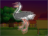 Struthio Camelus Massaicus Rescue - Play Free Online Escape Game