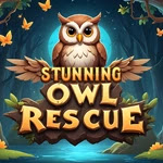 Stunning Owl Rescue