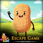 Lucky Peanut Escape - Play Free Online Escape Game