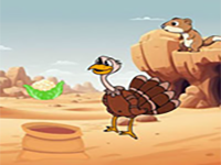 Turkey Stuck The Desert