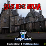 Black Ridge Asylum