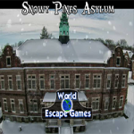 Snowy Pines Asylum