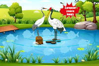 Care for the Pregnant Crane
