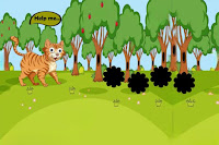 Play Cat Encounter Familiar Friends - Free Online Escape Game