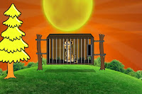 Cheetah Escape from the Cage