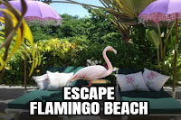 Escape Flamingo Beach
