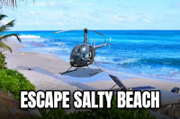 Escape Salty Beach