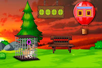 Escape the Lovable Pet Rabbit