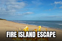 Fire Island Escape