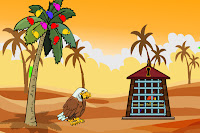 Free the Colorful Bird