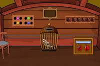 Free the Jay Bird from the Cage
