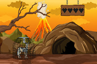 Free the Wild Dog from Its Cage