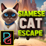 Siamese Cat Escape