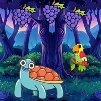 Help Girl Turned into Tortoise