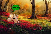 Help Rat Reach Native Place