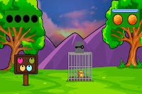 Help the Locked Tortoise Escape