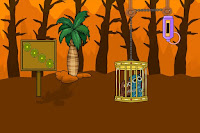 Help the Trapped Owls