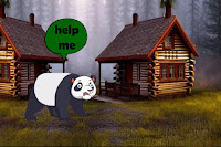 Panda Searching for Her Infant