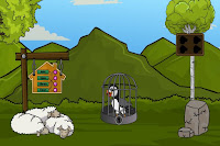 Rescue the Atlantic Puffin
