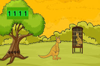 Rescue the Baby Wild Kangaroo