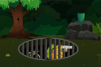 Rescue the Dragon