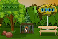 Rescue the Trapped Platypus