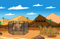 Save the Camel Calf