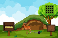 Save the Trapped Addra Gazelle