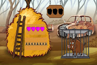 Save the Wild Boar