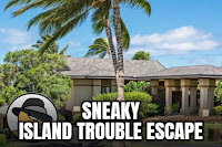 Sneaky Island Trouble Escape
