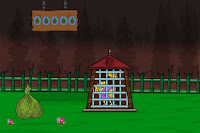 The Turkey Escape from Cage